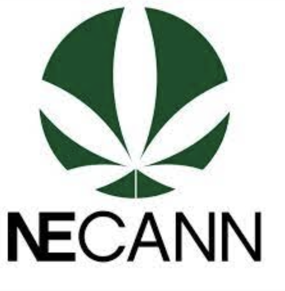 NeCann in Maine